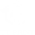 T. T. I. PRINT - TONER & KARTUŞ
